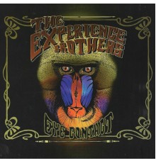 The Experience Brothers - Eye Contact