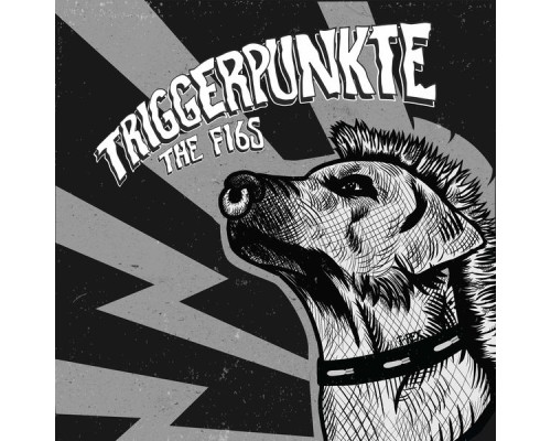 The F16s - Triggerpunkte