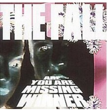 The Fall - Are You Are Missing Winner  (Deluxe Edition)