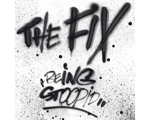 The Fix - Being Stoopid