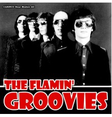 The Flamin' Groovies - Backtracks