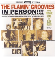 The Flamin' Groovies - In Person!!!