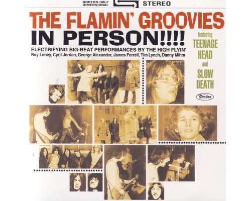 The Flamin' Groovies - In Person!!!