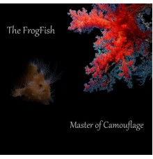 The FrogFish - Master of Camouflage