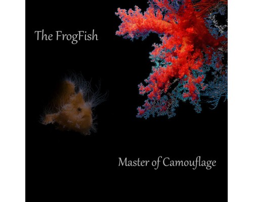 The FrogFish - Master of Camouflage