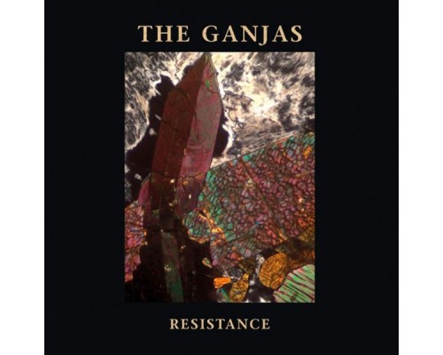 The Ganjas - Resistance