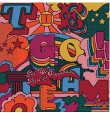 The Go! Team - Gemini