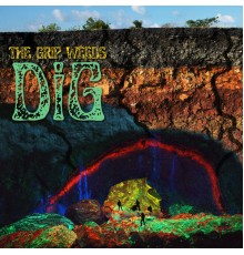 The Grip Weeds - DiG