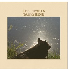 The Hearts - Sunshine