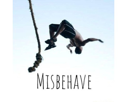 The High - Misbehave