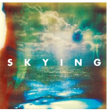 The Horrors - Skying