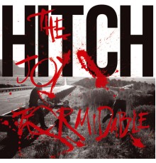 The Joy Formidable - Hitch