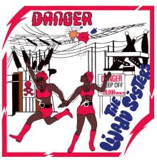 The Lijadu Sisters - Danger