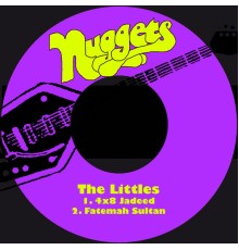 The Littles - 4x8 Jadeed