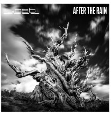 The Lost - After the Rain