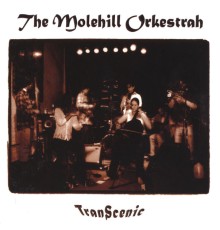 The Molehill Orkestrah - TranScenic