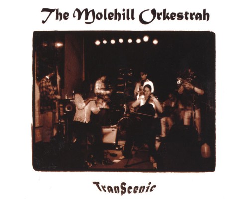 The Molehill Orkestrah - TranScenic