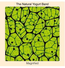 The Natural Yogurt Band - Magnified