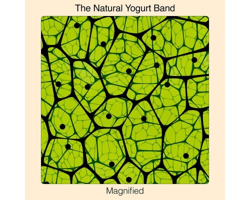 The Natural Yogurt Band - Magnified