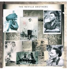 The Neville Brothers - Family Groove