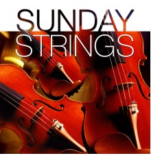 The New 101 Strings Orchestra - Sunday Strings