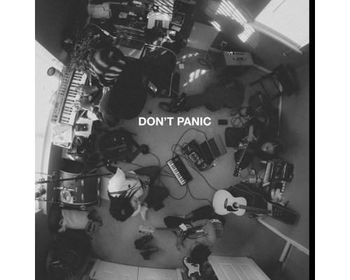 The New Respects - Don't Panic