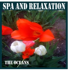 The Oceans - Spa and Relaxation