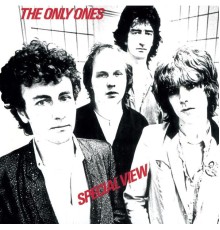 The Only Ones - Special View