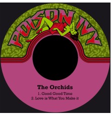 The Orchids - Good Good Time