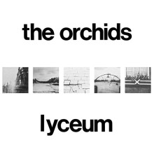 The Orchids - Lyceum