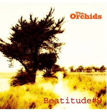 The Orchids - Beatitude #9