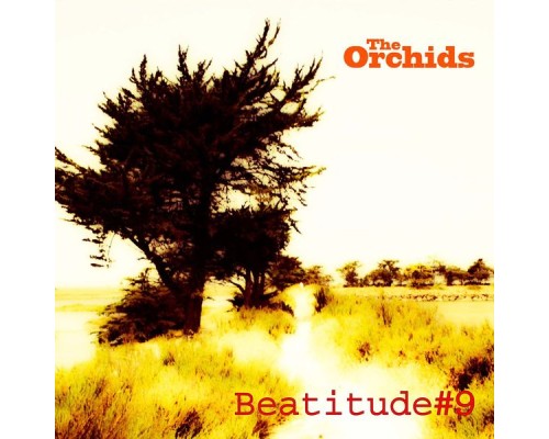 The Orchids - Beatitude #9