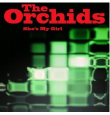 The Orchids - She's My Girl