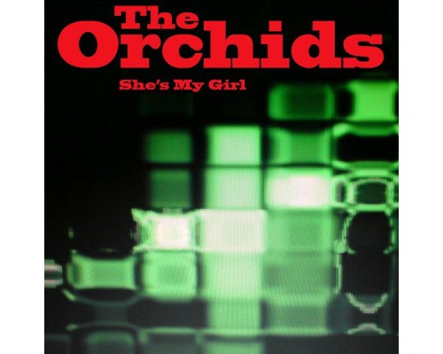 The Orchids - She's My Girl