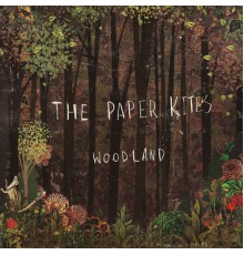 The Paper Kites - Woodland