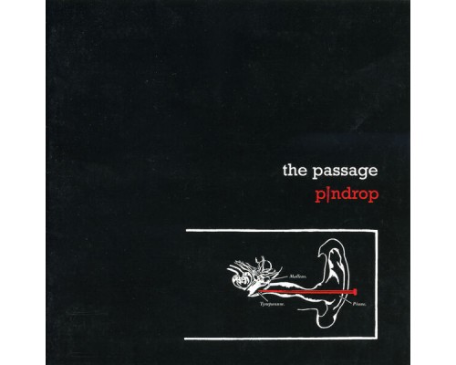 The Passage - Pindrop