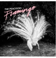 The Peacocks - Flamingo