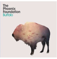 The Phoenix Foundation - Buffalo