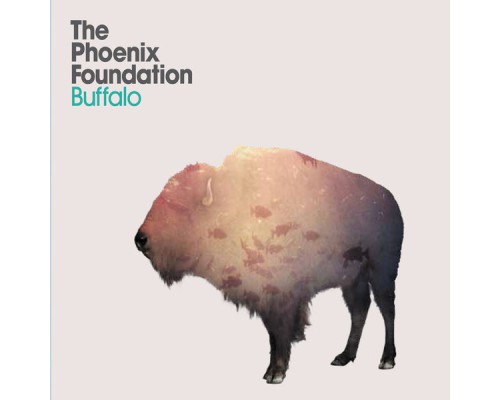 The Phoenix Foundation - Buffalo