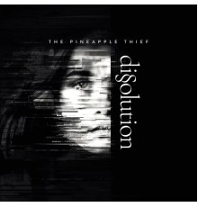 The Pineapple Thief - Dissolution