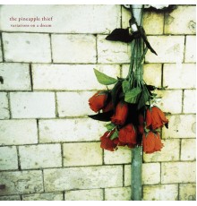 The Pineapple Thief - Variations on a Dream (Remastered)
