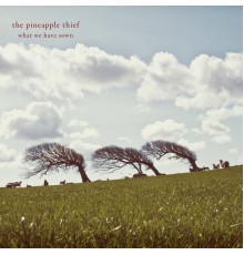 The Pineapple Thief - What We Have Sown (Remastered)