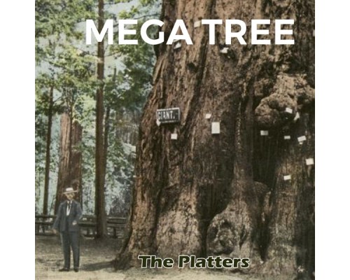 The Platters - Mega Tree