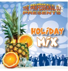 The Professional DJ - Holiday Mix