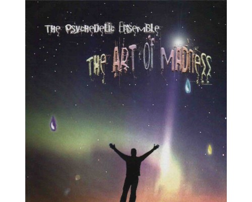 The Psychedelic Ensemble - The Art of Madness The Psychedelic Ensemble - The Art of Madness