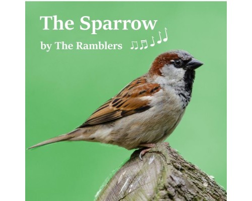 The Ramblers - The Sparrow