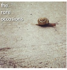 The Rare Occasions - Feelers