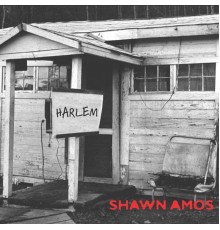 The Reverend Shawn Amos - Harlem