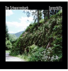 The Schwarzenbach - Farnschiffe