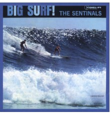 The Sentinals - Big Surf